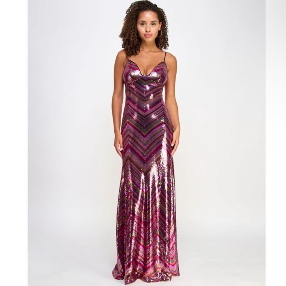Violet Weekend NWT sequin chevron dress